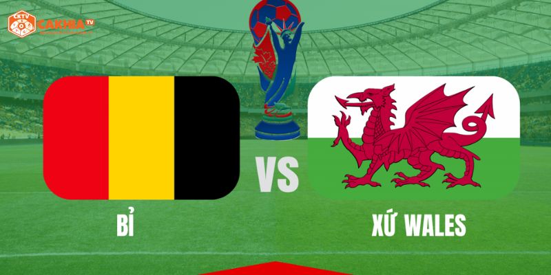 Nhận định trận đấu vòng loại World Cup Châu Âu giữa Wales vs Bỉ
